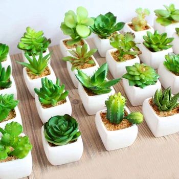 Kaktus Dan Sukulen, Wedding Plants, Lotus Plant, Artificial Plants Indoor, Fake Succulents, Artificial Plants Outdoor, Succulents Plants, Decorated Flower Pots, Artificial Succulents