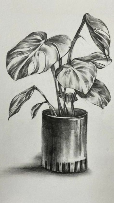 Pen Still Life Drawing, Drawing Ideas Still Life, Still Life Shading Drawing, Still Life Ideas Drawing, Sketching Ideas Pencil Nature, Still Life Drawing Pencil Shading, Pencil Shade Drawing, Easy Still Life Drawing Pencil Sketch, Plants Drawing Pencil