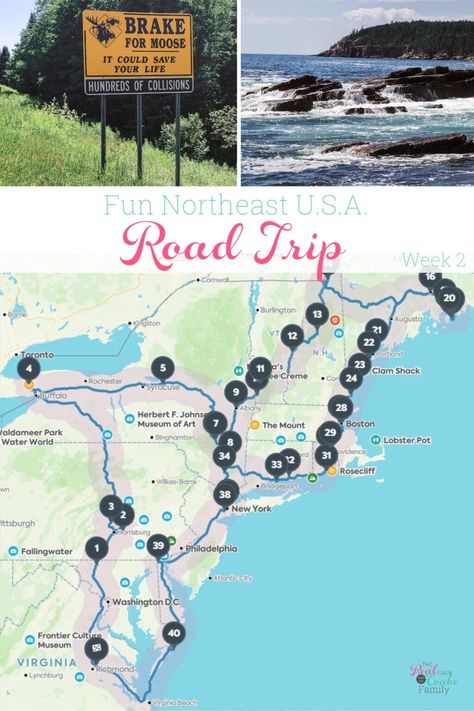 Great family road trip ideas through the Northeast Unites states. Includes ideas and tips for traveling with kids and teen through Vermont, New Hampshire, and Maine including Acadia National Park. #RealCoake #RoadTrip #FamilyRoadTrip #FamilyTravel America Road Trip, Maine Road Trip, Road Trip Ideas, New England Road Trip, Rv Trip, Road Trip Planner, East Coast Travel, East Coast Road Trip, Family Road Trip