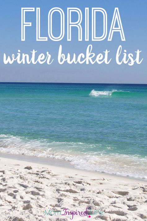 Things to do around Winter Park in the winter. Things To Do In Florida, Florida Winter, Winter Garden Florida, Garden Florida, Partly Cloudy, Winter Bucket List, Weather Channel, The Weather Channel, Winter Park