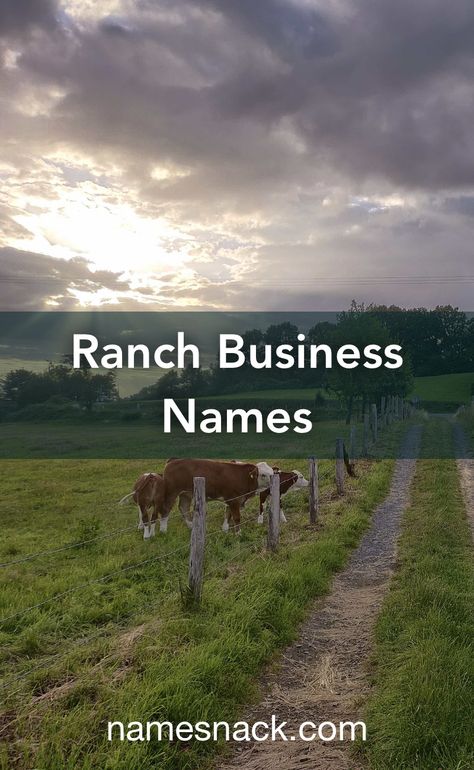 Ranch Names Ideas, Ranch Names, Western Names, Rural Photography, Royal Names, Free Logos, Texas Farm, Powerful Names, Photography Names