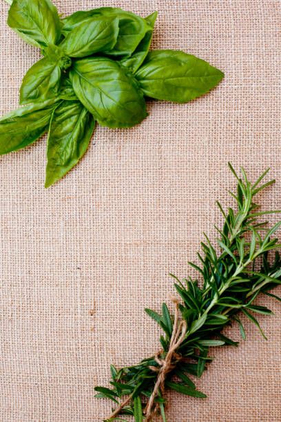 Meal Photography, Herbs Wallpaper, Mask Background, Rosemary Sea Salt, Food Background Wallpapers, Pasta Shrimp, Greenery Background, Rosemary Salt, Food Spices