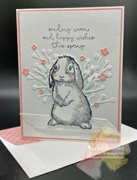 Easter Card Sayings, Stampin Up Easter Friends, Friends Card Ideas, Stampin Up Easter Cards, Easter Bunny Cards, Stampin Up Easter, Sympathy Cards Handmade, Easter Cards Handmade, Bunny Images