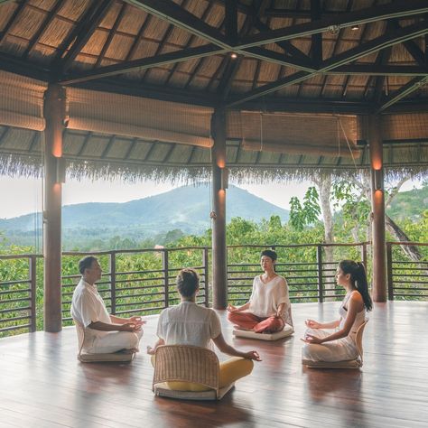 This beautiful luxury wellness retreat center located in Koh Samui, Thailand is still one the most beautiful and professional centers worldwide we visited. It offers a variety of holistic healing and wellness programs designed to nourish the body, mind, and spirit. With a tranquil natural setting and experienced practitioners, guests can experience relaxation, rejuvenation, and self-discovery during their stay. Are you one of our lucky clients who has been to this retreat center? We’d love ... Thailand Retreat, Mental Health Retreat, Holistic Center, Fitness Retreat, Healing Retreats, Luxury Wellness, Health Retreat, Importance Of Mental Health, Wellness Hotel