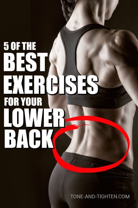 5 of the best at home exercises to strengthen and tone your lower back. Best Lower Back Exercises, Hypertrophy Workout, Lower Back Strengthening, Beachbody Workout, Back Strengthening Exercises, Back Toning, Lower Back Muscles, Lower Back Pain Exercises, Workout Bauch