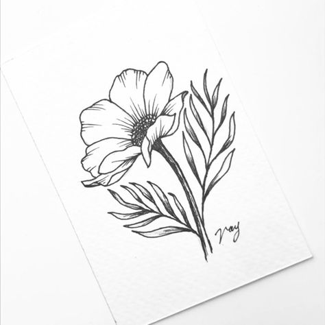 Cosmos Botanical Illustration, Simple Cosmos Tattoo, Cosmos Flower Illustration, Cosmos Sketch, Cosmo Flower Drawing, Cosmo Tattoo, Cosmo Flower Tattoo, Cosmos Drawing, Hot Perfume