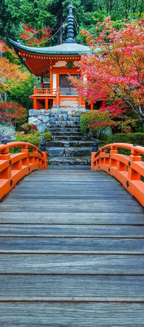 Walk bridge to a pagoda Kamakura, Visit Japan, Kyoto Japan, Autumn Colors, Elba, Japanese Garden, Places Around The World, Asia Travel, Japan Travel