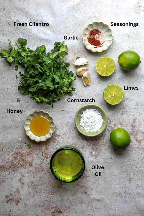 Cilantro and Lime Chicken Marinade - Sailor Bailey Cilantro Marinade Chicken, Cilantro Lime Marinade Chicken, Lime Chicken Marinade, Cilantro Lime Chicken Marinade, Cilantro Lime Marinade, Lime Marinade For Chicken, Chipotle Chicken Bowl, Crispy Chicken Wraps, Lime Marinade