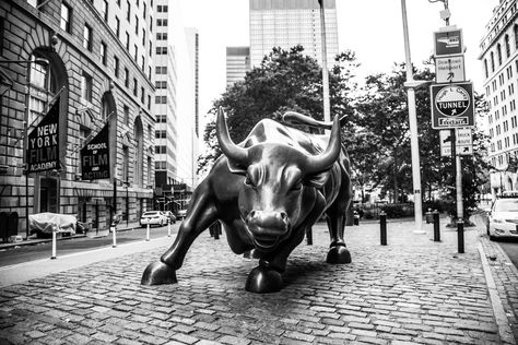 Wallstreet Bull, Wall Street Bull, Charging Bull, Wall Street Art, Bull Art, Nyc Photography, Stock Exchange, Street Photo, High Contrast