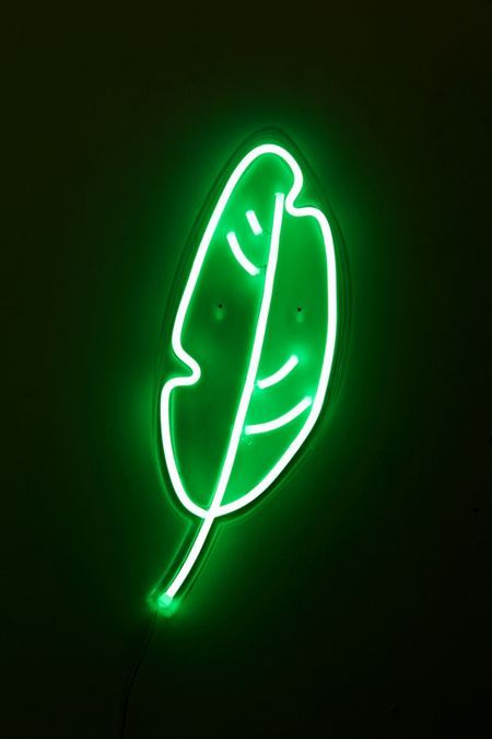 Green - Neon Lights, Table Lamps, + Cinema Boxes | Urban Outfitters Green Neon Sign, Kino Box, Green Aesthetic Tumblr, Neon Wall Art, Verde Neon, Dark Green Aesthetic, Wallpaper Iphone Neon, Green Neon, Neon Aesthetic