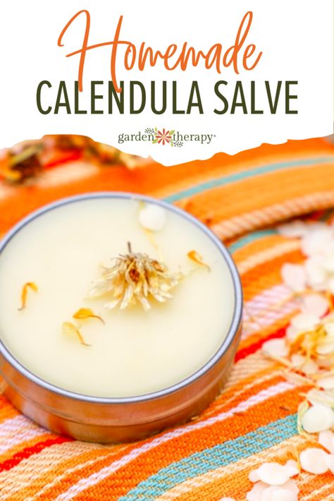 Calendula Balm Salve Recipes, Calendula Salve With Shea Butter, Calendula Cream Recipe, Calendula Salve Recipe, Calendula Recipes, Herbal Salve Recipes, Medicinal Herbs Remedies, Homemade Salve, Calendula Salve