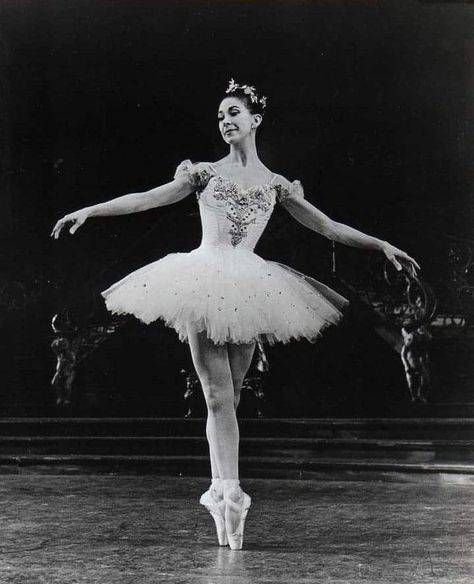 Famous Ballet Dancers, Maria Tallchief, Sleeping Beauty Ballet, Famous Ballets, Ballet Images, Margot Fonteyn, Ballet Pictures, Vintage Ballet, Rudolf Nureyev