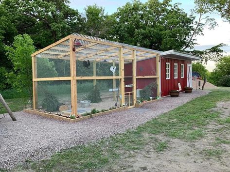 Modern DIY Chicken Run Simple Chicken Run, Chicken Run Diy, Chicken Coop Roof, Chicken Run Plans, Chicken Run Ideas, Chicken Coop Building Plans, Chicken Coop Designs Diy, Building A Chicken Run, Chicken Coop Pallets