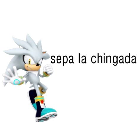 sepa la chingada Silver The Hedgehog, Sonic Characters, Sonic And Shadow, Sonic Boom, The Hedgehog, Sonic, Venice, Sonic The Hedgehog, Fan Art