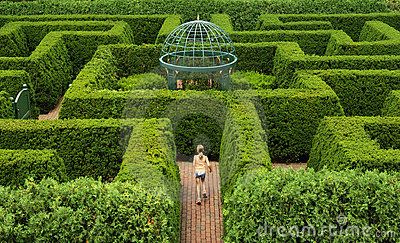 for my carosel Garden Mazes, Maze Garden, Europe Landscape, Hedge Maze, Labyrinth Garden, Garden Maze, Labyrinth Maze, Labyrinth Design, Garden Hedges