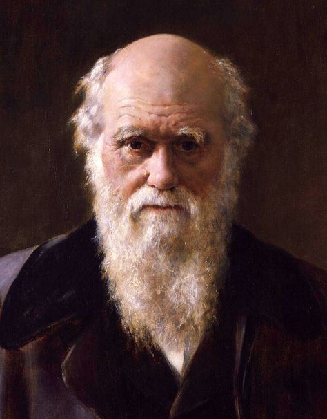 John Maler Collier, Portrait of Charles Darwin (detail), 1883. paperimages.tumblr.com Charles Darwin Quotes, Theory Of Evolution, Fun Questions To Ask, Natural Selection, Louis Armstrong, Charles Darwin, Stephen Hawking, Interesting Questions, Caricatures