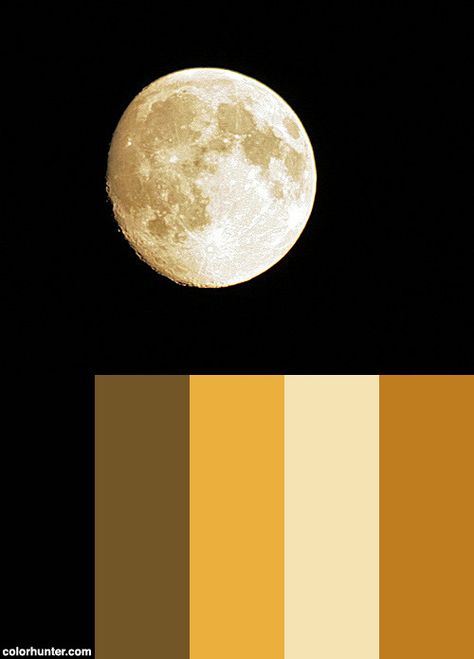 Best+Moon+Photo+Color+Scheme Full Moon Color Palette, Moon Color Pallete, Sun And Moon Color Palette, Moon Colour Palette, Moonlight Color Palette, Star Color Palette, Moon Color Palette, Photo Color Palette, Moon Palette