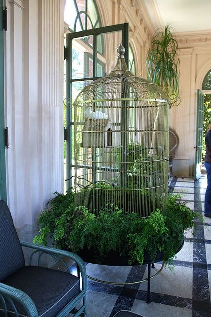 Filoli Gardens, Birdcage Planter, Budgie Cage, Diy Bird Cage, Bird Cage Design, Antique Bird Cages, Parakeet Cage, Pet Bird Cage, Bird Aviary