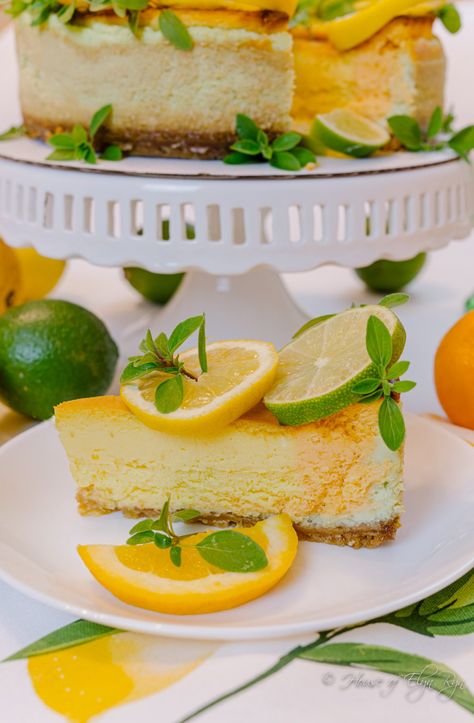 Triple-Citrus Cheesecake - The House of Elyn Ryn Citrus Cheesecake, Cheese House, Cheesecake Decoration, Layer Cheesecake, Cake Stand Decor, Frozen Cheesecake, Flat Pan, Orange Blossoms, Lemon Cheesecake