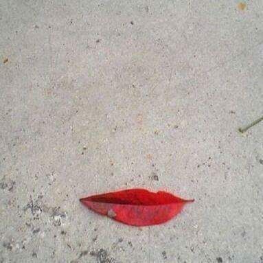 This leaf looks like a pair of lips Red, Art