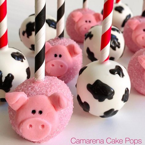 https://www.instagram.com/p/B8ewcoMHxmI/?igshid=1hg2jdjjom6p3 Farm Animal Desserts, Farm Cake Pops, Farm Animal Cake Pops, Rodeo Birthday Parties, Cow Cakes, Farm Themed Party, Pop Ideas, Chocolate Apples, Farm Cake