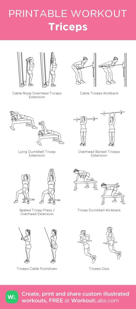 Workout Labs, Printable Workout, Printable Workouts, Different Exercises, Gym Routine, Triceps Workout, Workout Guide, Upper Body Workout, I Work Out