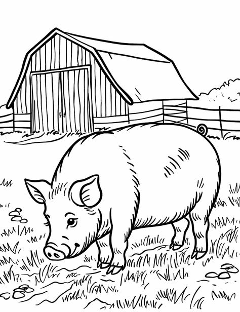 Pig Sniffing Around a Barn: A pig with its nose to the ground, sniffing around the outside of a barn. (Free Printable Coloring Page for Kids) Farm Animal Coloring Pages Free, Animal Coloring Pages Free Printable, Starfish Colors, Ballerina Coloring Pages, Pig Drawing, Happy Pig, Farm Animal Coloring Pages, Horse Galloping, Pumpkin Coloring Pages