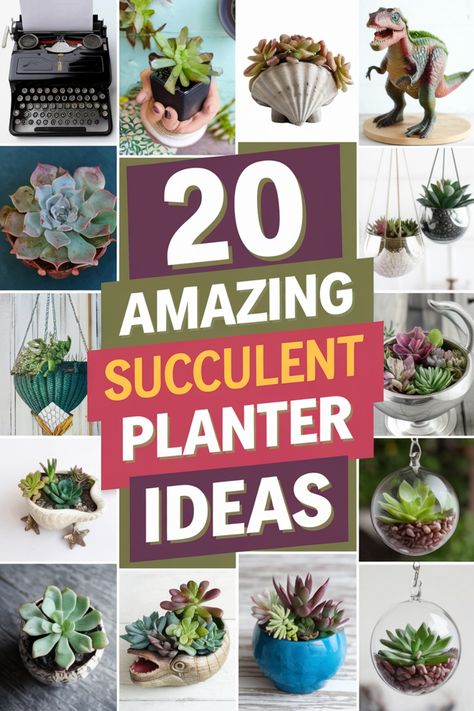 Explore the beauty of succulent planter ideas for both indoor and outdoor spaces. Get inspired with these creative and unique DIY succulent planter ideas that will add a touch of greenery to your home or garden. Whether you have a small apartment or a spacious patio, there's a succulent planter idea perfect for your space. From hanging planters to repurposed containers, there are endless possibilities to showcase these low-maintenance plants in style. Succulent Planter Ideas, Diy Succulent Planter, Indoor Succulent Planter, Vertical Succulent Gardens, Concrete Succulent Planters, Succulent Display, Succulent Planter Diy, Wall Mounted Planters, Planter Project