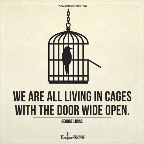 We Are All Living In Cages - https://themindsjournal.com/we-are-all-living-in-cages/ Bird Quotes, Life Philosophy, English Quotes, Reality Quotes, Good Thoughts, Note To Self, Beautiful Quotes, The Words, Wisdom Quotes