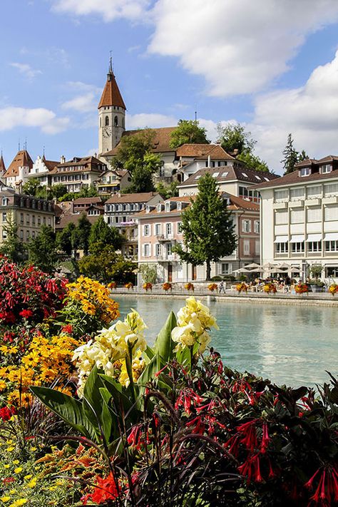 Travel Thun Switzerland | Wanderlusters Interlaken Switzerland Photography, Solothurn Switzerland, Swiss Summer, Thun Switzerland, Switzerland Photography, Interlaken Switzerland, Interlaken, Europe Trip, Alsace