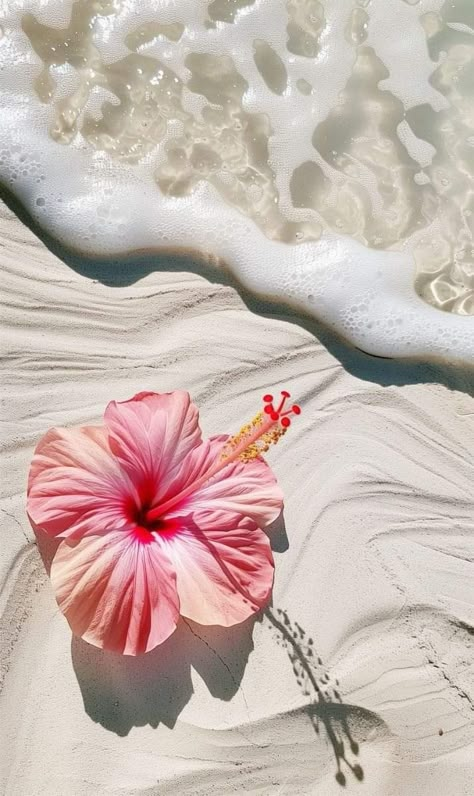 Summer Homescreen, Summer Beach Wallpaper, Beautiful Summer Wallpaper, Summer Wallpapers, Cute Summer Wallpapers, Wallpaper Iphone Summer, Flower Iphone Wallpaper, Pretty Landscapes, Ocean Wallpaper