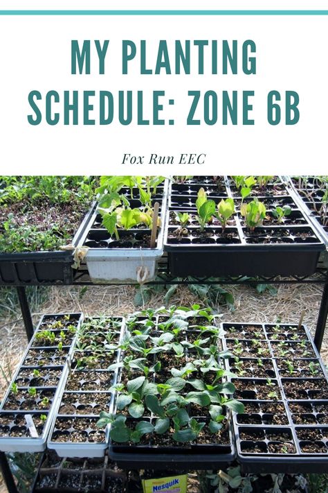 When To Plant Seeds, Winter Planting, What To Plant When, Planting Schedule, When To Plant Vegetables, Gardening Zones, Vegetable Garden Planning, Vegetable Garden For Beginners, Survival Gardening