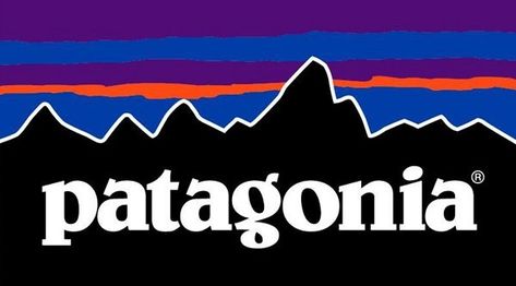 I chose Patagonia for my professional logo because this brand is very conciencious. Patagonia tries to spread it's message to better climate change and our world. I'm a really decisive person and I also try to be the change I want to see. Tahoe Snow, Yvon Chouinard, Patagonia Logo, Patagonia Outfit, Seni 3d, Patagonia Fleece, Company Culture, Patagonia Jacket, Woven Labels