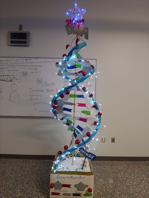 Project For Science, Biology Science Fair Projects, Dna Model Project, Parallel Structure, Dna 3d, Science Exhibition Projects, Dna Structure, Dna Tree, Science Communication