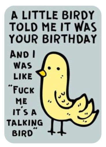 Sarcastic Happy Birthday, Sarcastic Birthday Wishes, Sarcastic Birthday, Birthday Greetings Funny, Funny Happy Birthday Wishes, Happy Birthday Quotes Funny, Birthday Wishes Funny, Happy Birthday Meme, Happy Birthday Funny