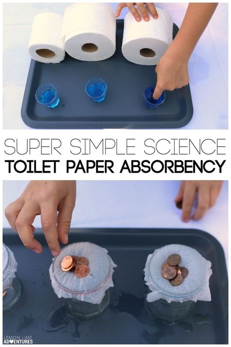 Simple Kids' Science Experiment. Test Toilet Paper Absorbency. Absorption Science Experiment, Simple Science Fair Projects, Paper Experiments, Simple Toilet, Experiments Kids, Science Camp, Simple Science, Experiments For Kids, Kid Experiments