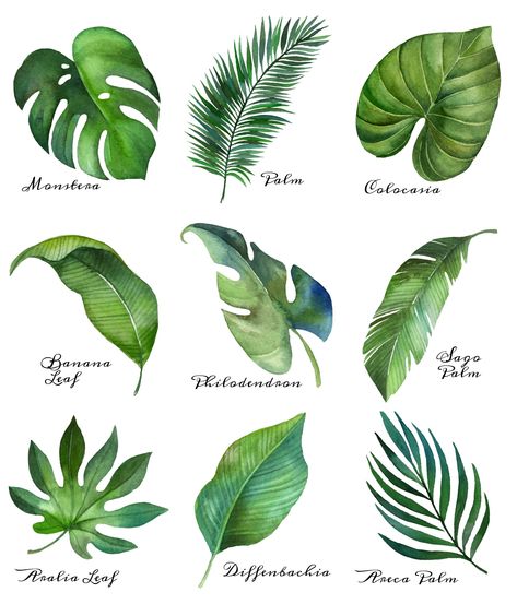 Tropical Leaf Free Printable Art -Series of 9 | The Happy Housie | Beautiful free summer printables with customizable options and easy to download for your summer home decor. #summerdecor #plants Boom Kunst, Seni Mural, Tanaman Indoor, Summer Printables, Free Printable Art, Leaf Drawing, Cafe Logo, Watercolor Printable, Seni Cat Air