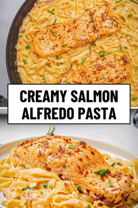 Serve up a crowd-pleaser with this creamy salmon Alfredo pasta! Blackened salmon and rich Cajun Alfredo sauce create a salmon pasta recipe that's as easy as it is delicious. Perfect for a special occasion or a quick weeknight meal! Cajun Alfredo Pasta Crockpot, Alfredo Pasta With Salmon, Pasta For Salmon, Cajun Pasta With Salmon, Salmon And Alfredo Pasta, Salmon Alfredo Recipes, Spicy Salmon Pasta, Pasta With Salmon Recipe, Pasta Salmon Recipes