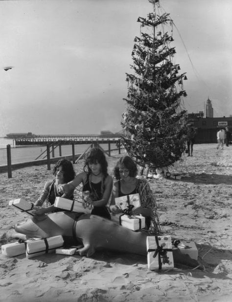 hollyhocksandtulips: California Christmas, 1920s Random Vintage, California Christmas, Christmas In Italy, 25 December, Southern California Beaches, Nostalgic Christmas, Christmas Shoot, California History, Holiday Vibes