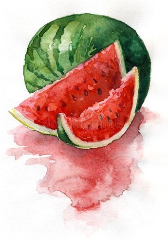 Photo about Watercolor painting. Still life. Sliced watermelon. Illustration of food, watermelon, life - 28047934 Sliced Watermelon, Watermelon Illustration, Watercolor Watermelon, Fruits Drawing, Watercolor Food, Watercolor Paintings For Beginners, Watercolor Fruit, Food Painting, Seni 3d