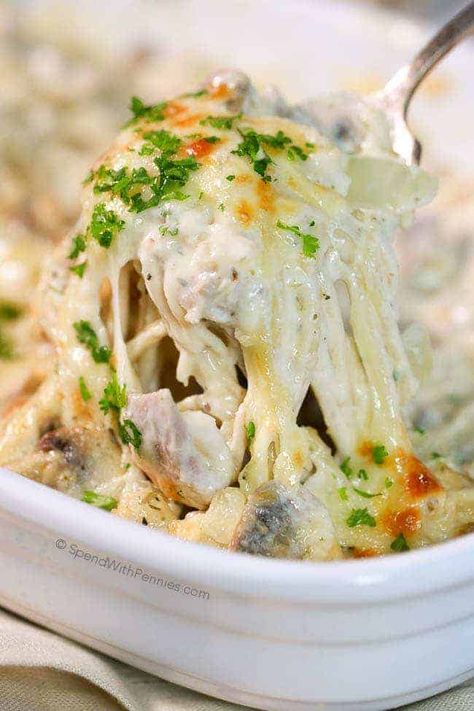 Turkey Tetrazzini Turkey Tetrazzini Easy, Turkey Tetrazzini Recipe, Turkey Tetrazzini, Chicken Tetrazzini, Turkey Casserole, Turkey Pot Pie, Spend With Pennies, Leftover Turkey Recipes, Turkey Soup