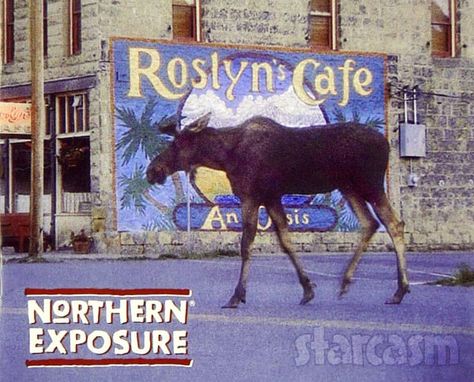 One of the most critically acclaimed and beloved shows in the history of network television is coming back! CBS is reportedly moving ahead with a Northern Exposure revival with original show star James Morrow as well as series co-creators Josh Brand and John Falsey. Northern Exposure Tv Show, Psych Movie, John Corbett, Northern Exposure, Alaska Fashion, Me U, Summer Scrapbook, Going On Holiday, Comedy Tv