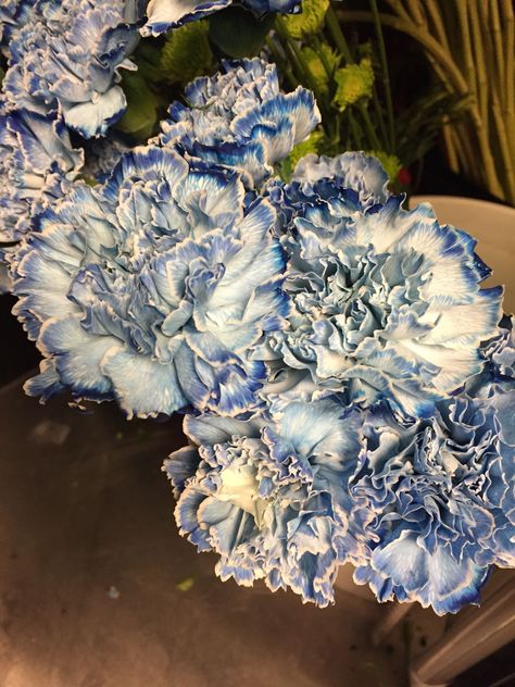 Flowers Aesthetic Blue, Blue Flowers Aesthetic, Aesthetic Blue Flowers, Blue Flower Bouquet, Flower Garden Design Ideas, Flower Gardening Ideas, Garden Ideas Flower, Flower Garden Ideas, Blue Flowers Bouquet