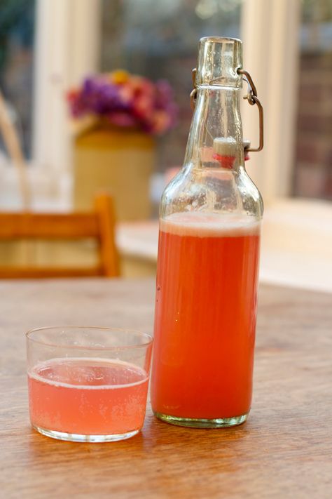 How to Make Rhubarb Soda (It's naturally probiotic!) Rhubarb Soda, Lacto Fermentation, Healthy Soda, Homemade Soda, Fermented Drink, Probiotic Foods, Food Lab, Rhubarb Recipes, Honey Recipes