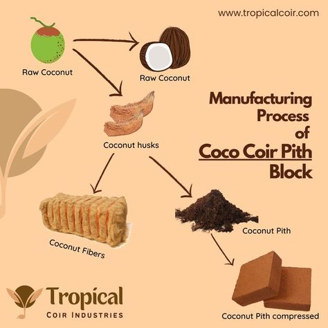 Making Process of Coco Peat / Coir Pith Grow your Plants by using our 100% Organic and Renewable Coco Peat / Coir Pith Blocks from Tropical Coir Industries. Contact Us - sales@tropicalcoir.com #CocoPith #CoirPith #CocoPeat #CoirPeat #Processed_Coconut_Husk #Processed_Coconut_Dust #Processed_Coir_Fiber #Processe_Coir_Compost #CoirFiberPith #CoirDust #CocoFiberPeat #CocoDust #PeatMoss #CocoPeatMoss #SoillessMix #Coco_Coir_Peat #coco #What_are_the_areas_Coco_can_be_used #tropical_coir Waste Material Products, Coco Peat, Growing Vegetables In Pots, Coco Coir, Raw Coconut, Diy Pots, House Furniture Design, Geodesic Dome, Coconut Fiber