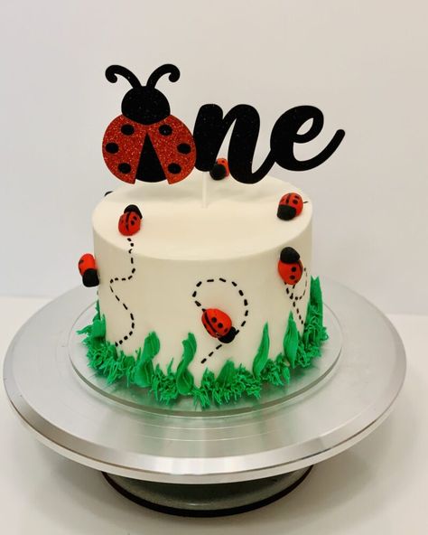 Ladybug Smash Cake, Love Bug Birthday, Bug 1st Birthday, Bug Birthday Cakes, Ladybug First Birthday, Ladybug 1st Birthday, Ladybug Cakes, Smash Cake Ideas, Bug Cake