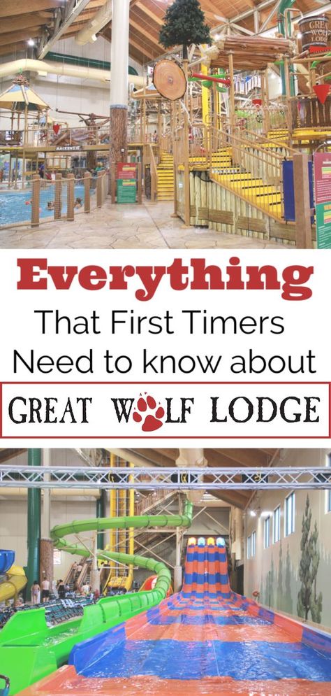 Great Wolf Lodge, Great Wolf Lodge Colorado, Great Wolf Lodge Review, Honest Review of Great Wolf Lodge, Is Great Wolf Lodge worth the money, What activities can you do at Great Wolf Lodge, Restaurants of Great Wolf Lodge, Family Friendly indoor waterpark, indoor water park colorado Indoor Water Park, Bday Celebration, Wolf Lodge, Family Wellness, Great Wolf Lodge, Indoor Waterpark, Cultural Studies, Family Travel Destinations, Waterpark