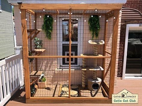 Catio Plans, Diy Cat Enclosure, Katt Grejer, Cat Area, Small Backyard Design Layout, Cat Patio, Backyard Design Layout, Outdoor Cat Enclosure, Cat House Diy