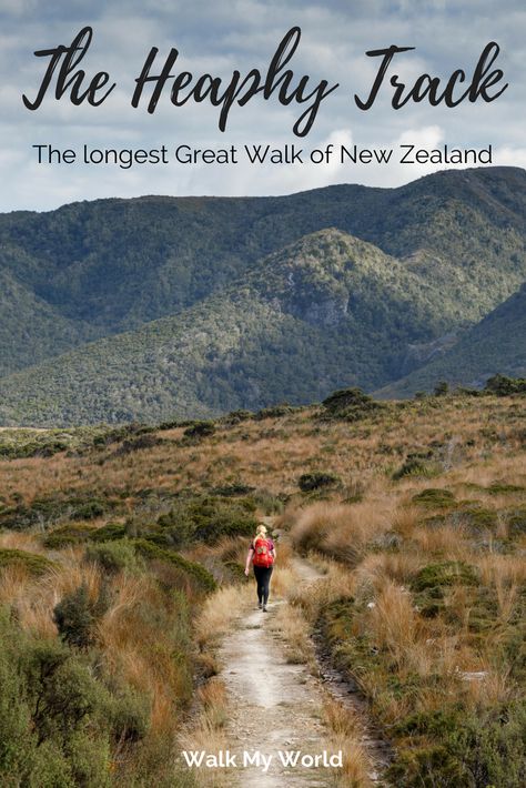 The Heaphy Track: the longest Great Walk of New Zealand — Walk My World New Zealand Travel Guide, Huge Waves, New Zealand Houses, Before Sunrise, New Zealand Travel, Four Days, Long Walks, South Island, South Pacific