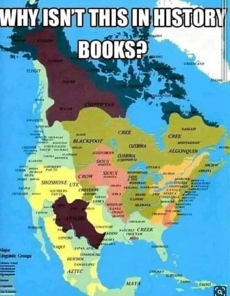 Native American Map, American Indian History, Native American Wisdom, Foto Langka, Native American Heritage, Indian History, Native American Tribes, Interesting History, Native American History